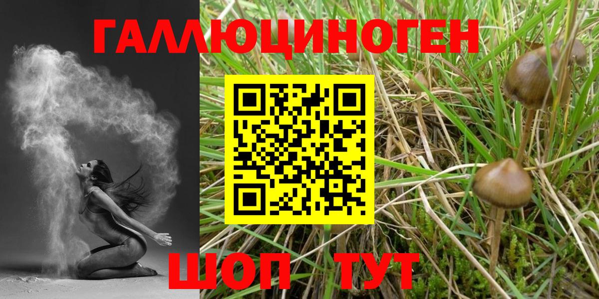 Псилоцибиновые грибы мицелий  Вход с VPN  Тосно 